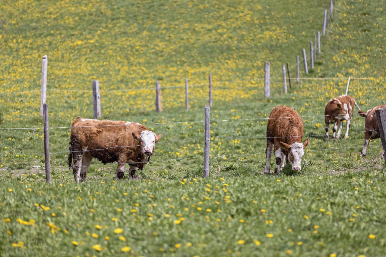 Ferienwohnung Kirchblick Gasser Terento Bagian luar foto