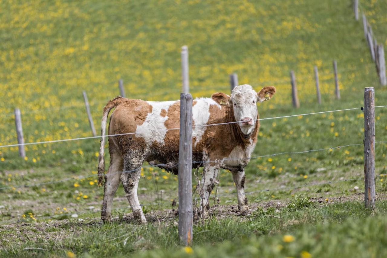 Ferienwohnung Kirchblick Gasser Terento Bagian luar foto